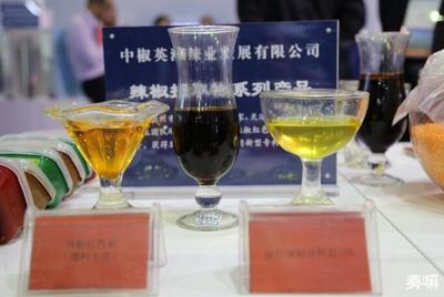 德州市招才引智成果展驚艷亮相，八大亮點引領人才新高度